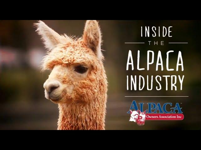 Inside the Alpaca Industry by Alpaca Owners Association, Inc.