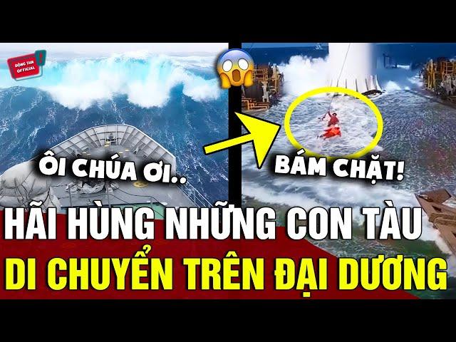 Những video ghi lại cảnh tại VÙNG BIỂN NGUY HIỂM nhất thế giới gây ra HỘI CHỨNG SỢ BIỂN | Động Tiin