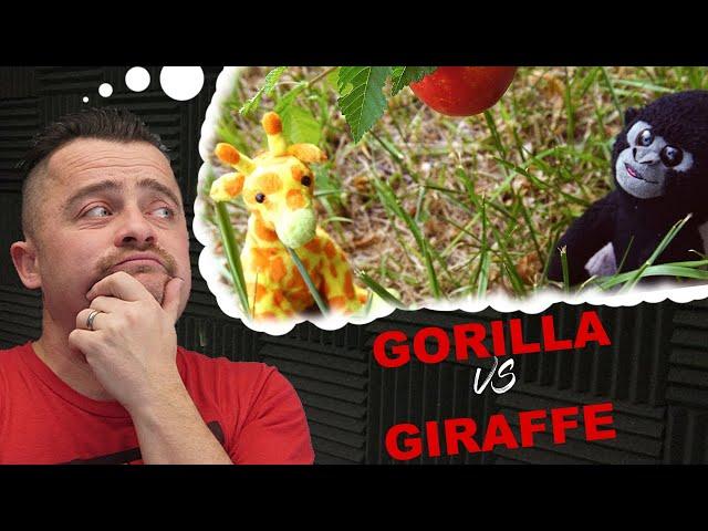 Guerrilla filmmaking, are you a gorilla or a giraffe?