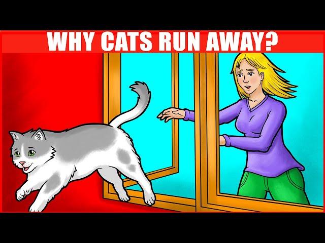 Why Cats Leave and Never Return?