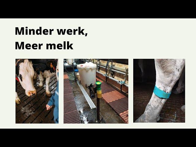 Minder werk, meer melk