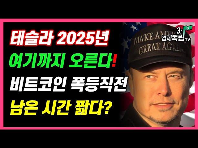 [2025년 테슬라+비트코인 어디까지 오르나! 머스크+마이클세일러 충격 전망!]#3.1경제독립tv