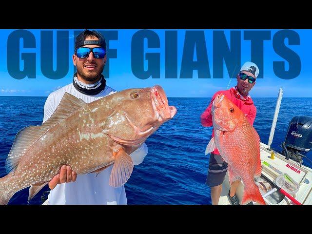 Anna Maria Island, Florida - GROUPER SNAPPER GULF (Fishing With Salty)