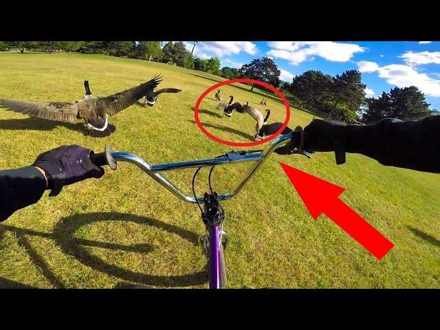 GoPro BMX STREET #5 - ЧОКНУТЫЙ РУССКИЙ (Дима Гордей)