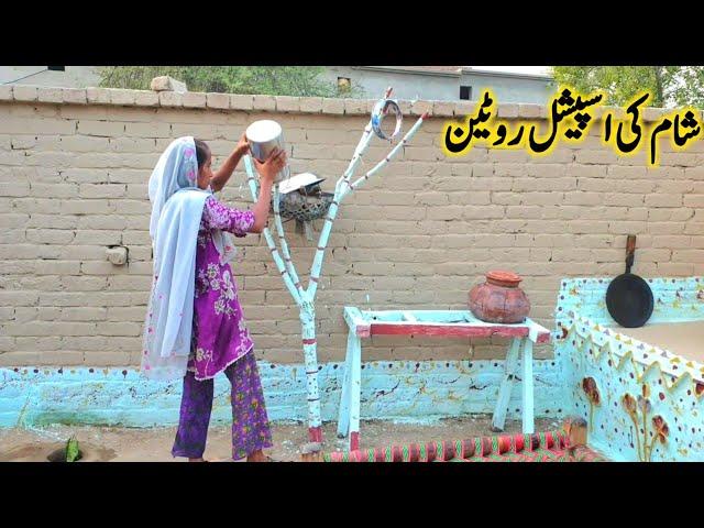 Sham Ki Special Routine || Pakistan Life || Village Life || Village Joint Family