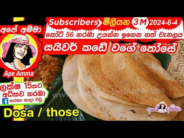  How to make Dosa / Dosai by Apé Amma සයිවර් කඩේ වගේ තෝසේ හදමු!