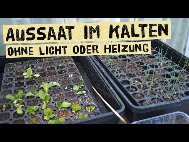 Aussaat im Winter ohne Heizung und Kunstlicht -Vorteile und Nachteile der Kaltaussaat