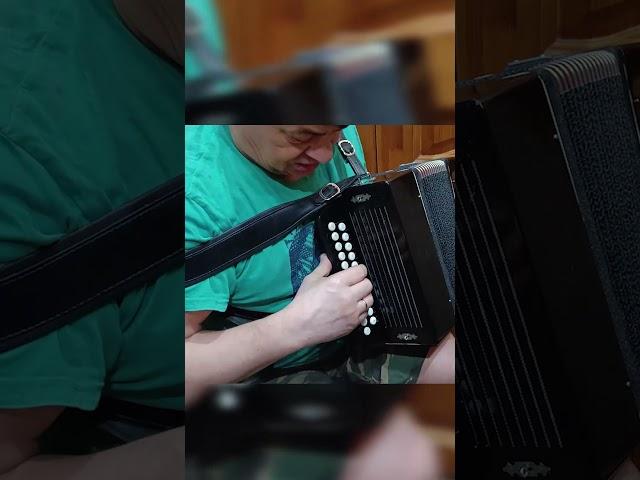 как быстро научиться играть частушки на гармони три аккорда 300 песен заказная гармонь  #гармонь