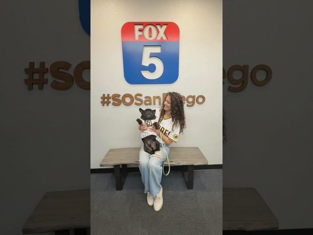 MY DOG & I MADE THE NEWS!!!  #sandiego #padres #dogs