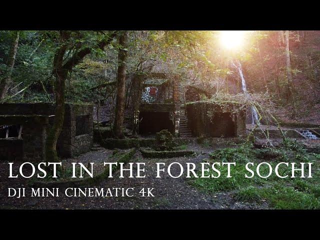 Lost in the forest Sochi   DJI Mini Cinematic 4K