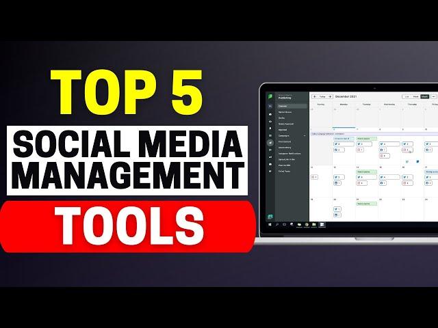 Best Social Media Management Tools 2025 (Free & Paid)