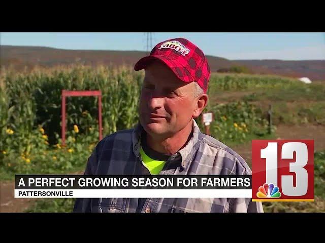 Pattersonville farmer says growing season was nearly perfect