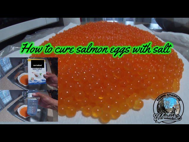 HOW TO CURE SALMON EGGS WITH SALT