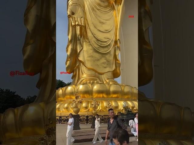 南无阿弥陀佛Ná mó ēmítuófó  Gautam Buddha  Mahatma Buddha  namo Amitabha Buddha  {{{FizaRay}}}