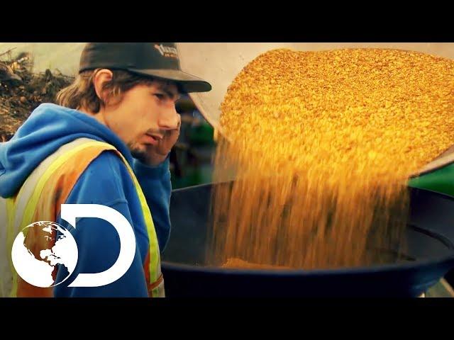 Los desafíos y las recompensas de la minería | Fiebre de Oro | Discovery Latinoamérica