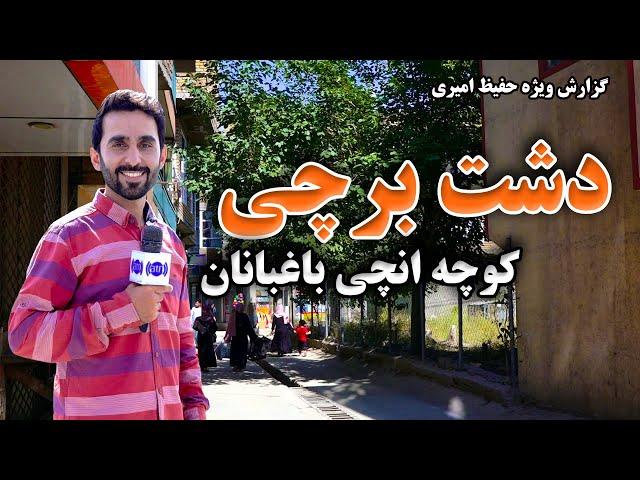 Dashte Barchi Onchi Baghbanan Street in Hafiz Report / دشت برچی، کوچه انچی باغبانان در گزارش حفیظ