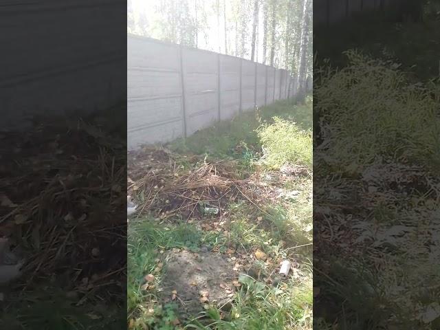 Просто словами не выразить от души.