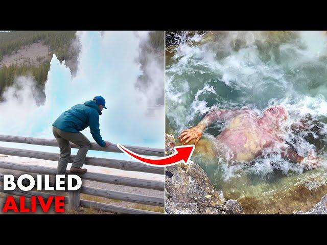 15 Most Terrible Incidents in Yellowstone National Park