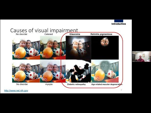 Prof Jim Weiland on "Electronic Visual Prostheses to Treat Blindness"