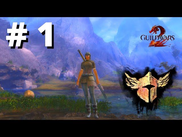 Guild Wars 2 Gameplay Warrior Walkthrough Part 1 (GW2 on Steam) Free MMORPG