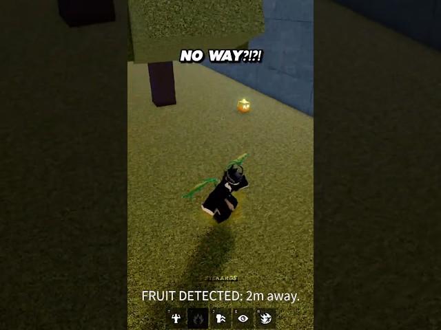 CRAZY Luck in Blox Fruits!  #bloxfruits