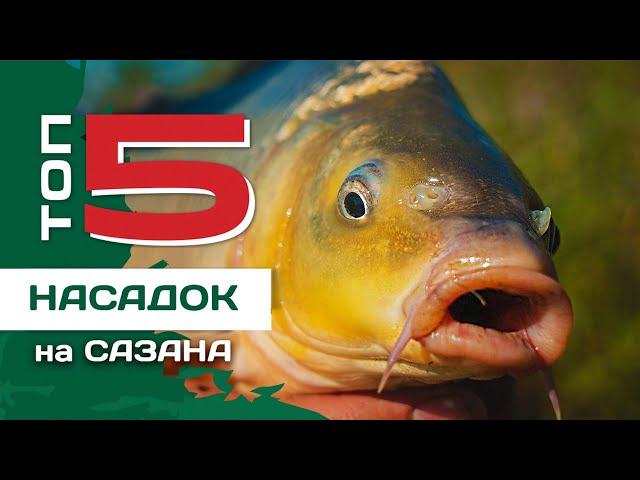 ТОП 5 насадок для ловли сазана от Евгения Конюшевского. Рыбалка на картошку.