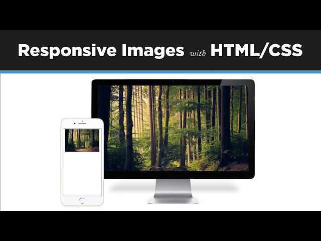 How to Make Images Responsive in HTML & CSS // Responsive Web Design Tutorial