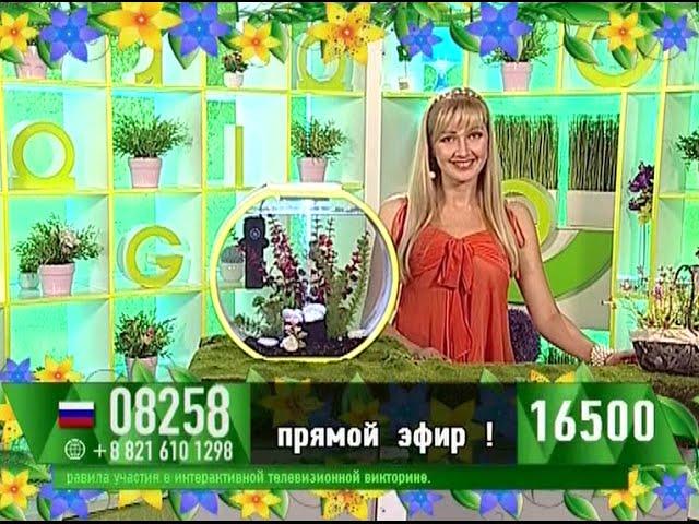 Анна Кутурова - "Счастливый час" (19.06.16)