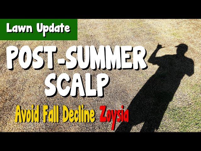 Zoysia Post-Summer Scalp / Fall Decline