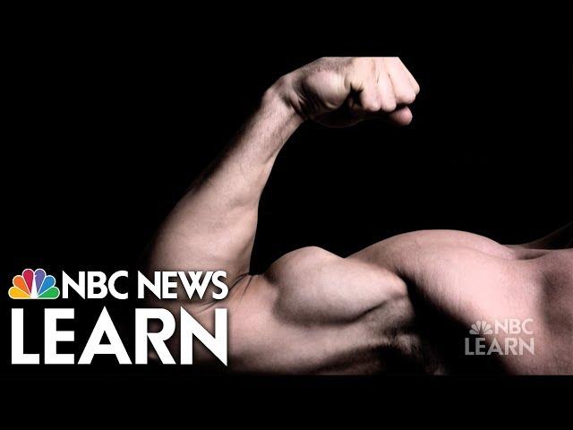 Get Healthy: Exercise | NBC Learn