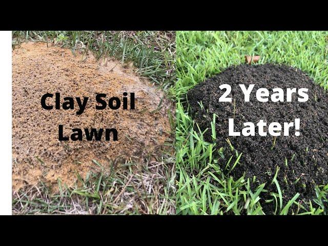 Improve Your Clay Soil Lawn - CRAZY PROOF from Fire Ants!