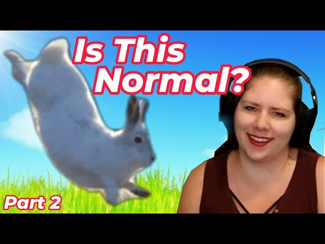 Common Diseases and Behaviours | Veterinarian Explains Rabbits Part 2