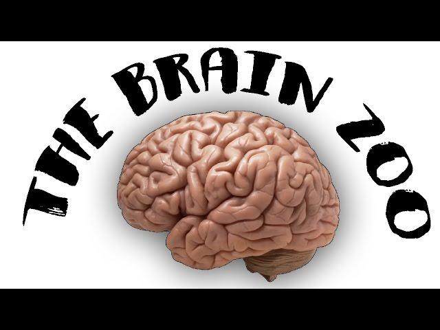 The Brain Zoo - Basics of Meditation