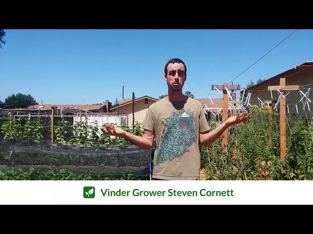 Vinder Grower   Steven Cornett