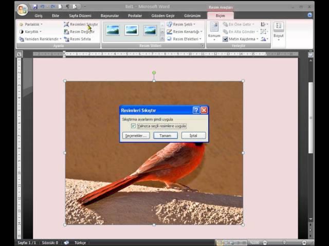 WORD 2007    28-Resim Ekleme, Silme Ve Dosya Boyutunu Küçültme