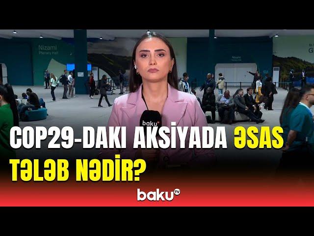 Dəyən zərər 280 milyon dolları keçdi | COP29-da ortaya qoyulan problem