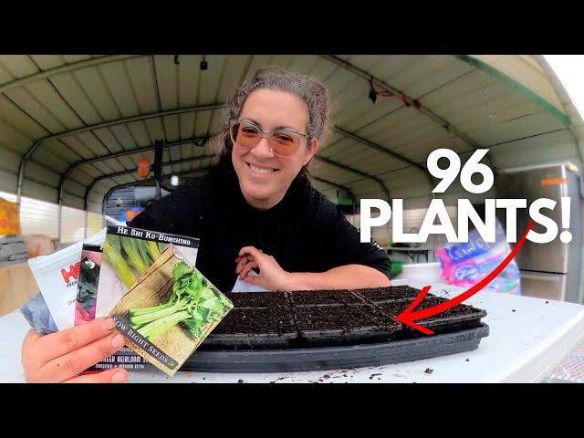 SMALL Space Seed Starting for SPRING Harvests! | Vlogmas Day 20