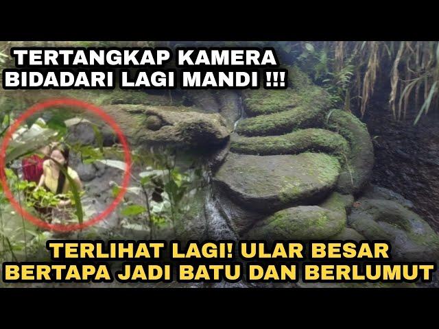 SAMPAI BERLUMUT ! ULAR BERTAPA MENJADI BATU RATUSAN TAHUN DITENGAH SUNGAI