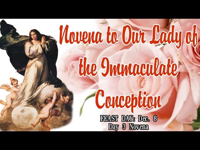 Our Lady of the Immaculate Conception Novena : Day 3 | Daughter and Instrument of God