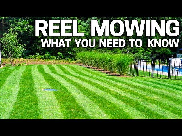 REEL Mowing Right for YOU? Mowing Low / Cylinder Lawn Mowing - How to Get Started