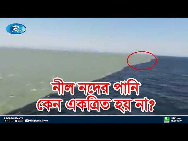 নীলনদে এমন কি রয়েছে যা অন্য কোন নদনদীতে নেই? nil nod | Egypt | River | Rtv Islamic Show