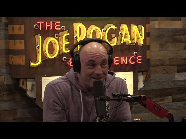 JRE MMA Show #119 with Michael Bisping