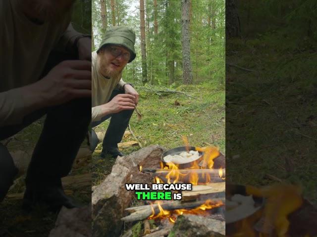 Campfire cooking: Pike in the Finnish wilderness