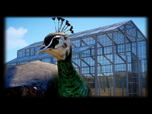 Large Greenhouse Speed build w/ Indian Peafowl Habitat | Planet Zoo Beta