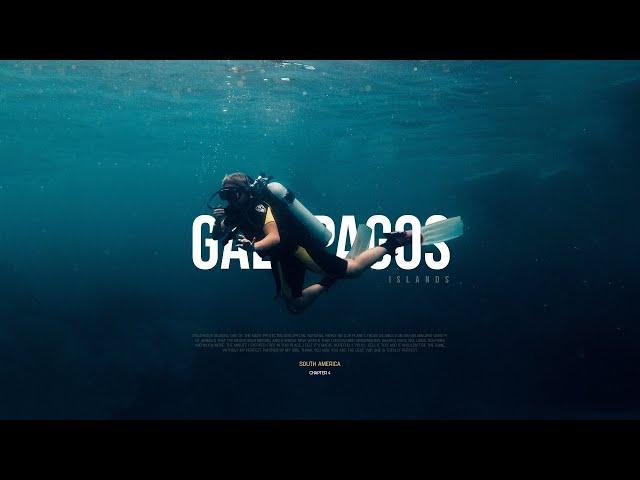 Galápagos Islands | Cinematic Video