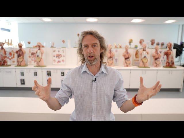 How we teach anatomy at Swansea University Medical School (vlog)