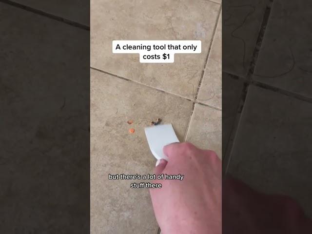 You Really Need This $1 Cleaning Tool  #cleaning