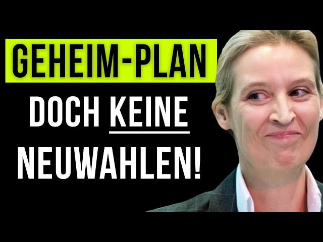 Keine Neuwahlen: Darum rettet die AfD Olaf Scholz bei Vertrauensfrage!