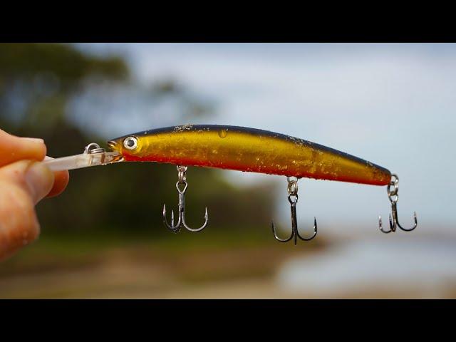 This Lure Caught So Many Fish!! (Sand Flat Fishing Tips)