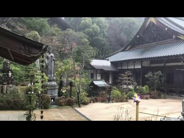 Zen Garden Ambience with Rain Sounds – Japanese Village Temple (Sleep, Relaxation, White Noise)